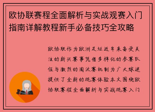 欧协联赛程全面解析与实战观赛入门指南详解教程新手必备技巧全攻略